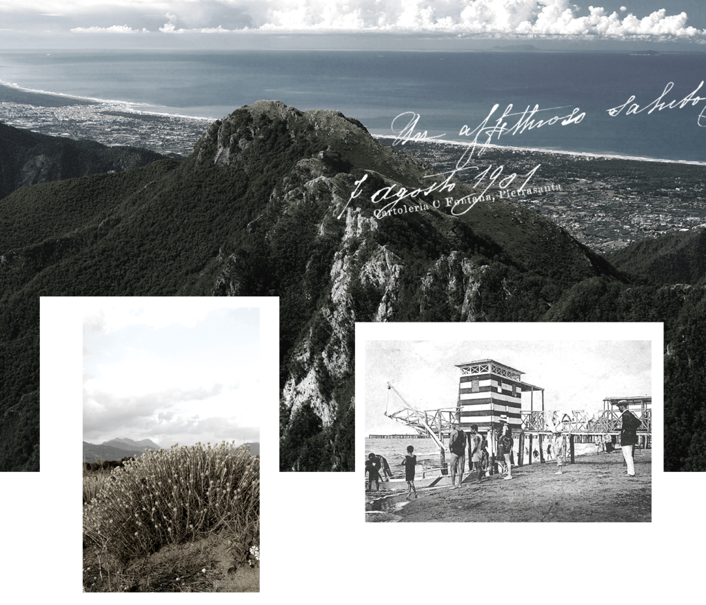 Forte dei Marmi The Brand Company